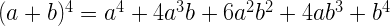 (a+b)^{4}=a^{4}+4 a^{3} b+6 a^{2} b^{2}+4 a b^{3}+b^{4}